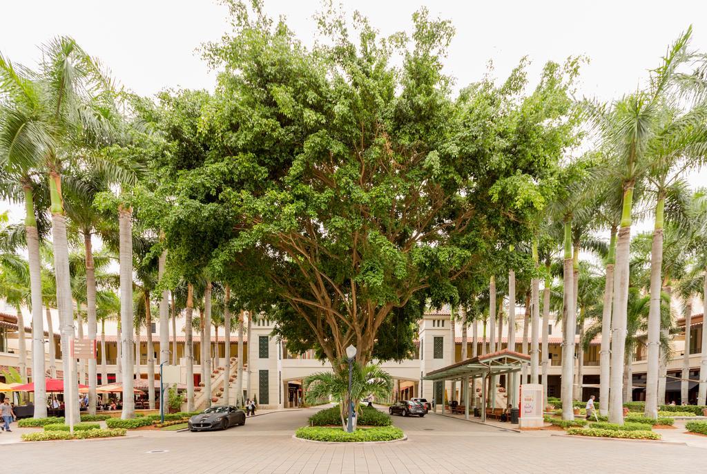 Pelicanstay In Coral Gables Miami Экстерьер фото
